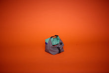 Load image into Gallery viewer, limited edition "fck nzs"